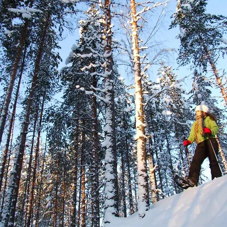 Hotel Jongunjoen Matkailu 3*