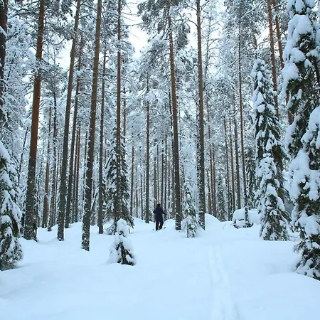 Jongunjoen Matkailu Hotel 3*